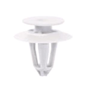 Body, Restagraf Body, Restagraf