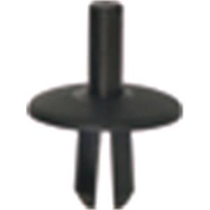 Body, Restagraf Body, Restagraf