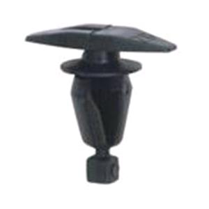 Body, Restagraf Body, Restagraf