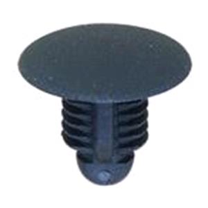 Body, Restagraf Body, Restagraf