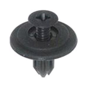 Body, Restagraf Body, Restagraf