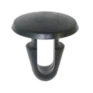 Body, Restagraf Body, Restagraf