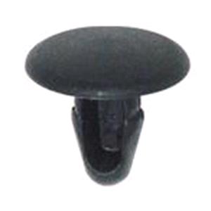 Body, Restagraf Body, Restagraf