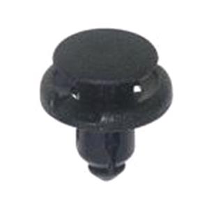 Body, Restagraf Body, Restagraf