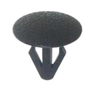 Body, Restagraf Body, Restagraf