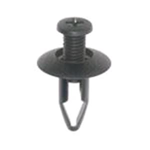 Body, Restagraf Body, Restagraf