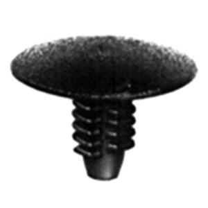 Body, Restagraf Body, Restagraf