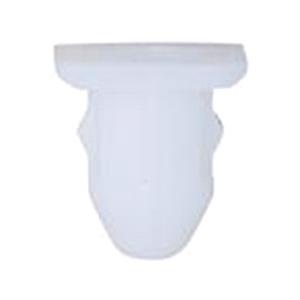 Body, Restagraf Body, Restagraf