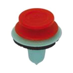 Body, Restagraf Body, Restagraf