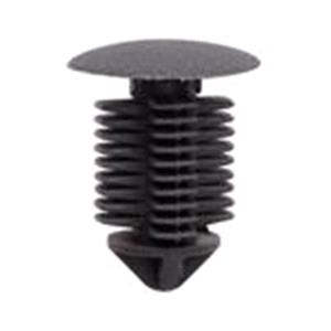 Body, Restagraf Body, Restagraf