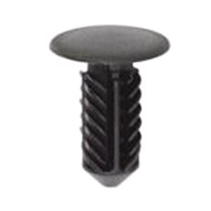 Body, Restagraf Body, Restagraf