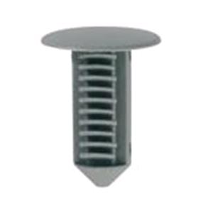 Body, Restagraf Body, Restagraf