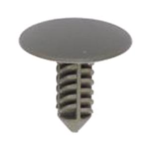 Body, Restagraf Body, Restagraf