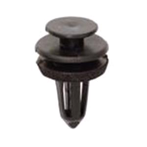 Body, Restagraf Body, Restagraf