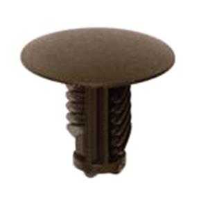 Body, Restagraf Body, Restagraf