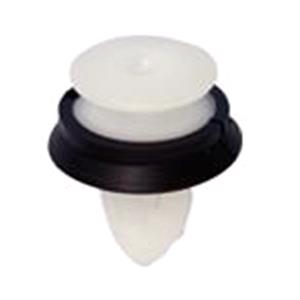 Body, Restagraf Body, Restagraf