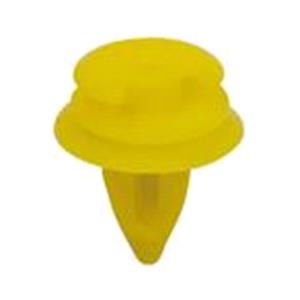 Body, Restagraf Body, Restagraf