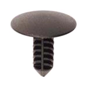 Body, Restagraf Body, Restagraf