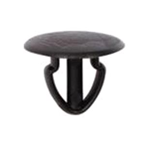 Body, Restagraf Body, Restagraf