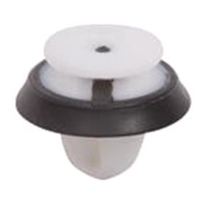 Body, Restagraf Body, Restagraf