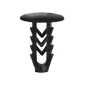 Body, Restagraf Body, Restagraf