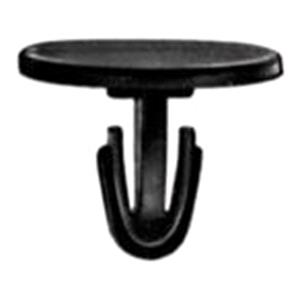 Body, Restagraf Body, Restagraf