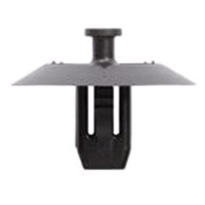 Body, Restagraf Body, Restagraf