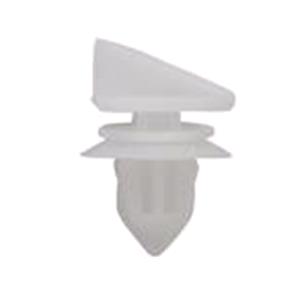 Body, Restagraf Body, Restagraf