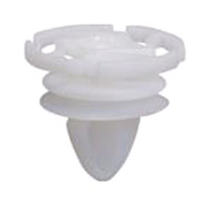 Body, Restagraf Body, Restagraf