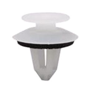 Body, Restagraf Body, Restagraf