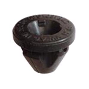 Body, Restagraf Body, Restagraf