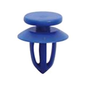 Body, Restagraf Body, Restagraf