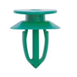 Body, Restagraf Body, Restagraf