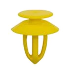 Body, Restagraf Body, Restagraf