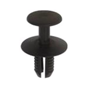 Body, Restagraf Body, Restagraf