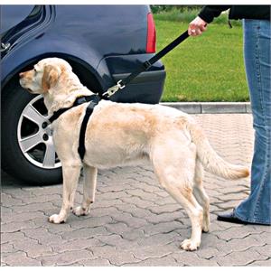 Dog and Pet Travel Accessories, Dog Car Seat Belt and Harness   Large Dogs (70 90cm), Trixie