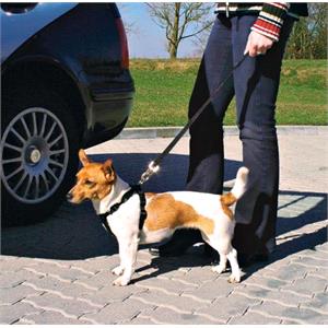 Dog Car Seat Belt and Harness - Extra Small Dogs (20-50cm)