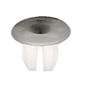 Body, Restagraf Body, Restagraf