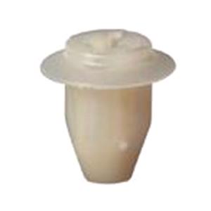 Body, Restagraf Body, Restagraf