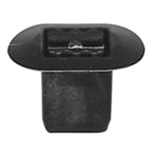 Body, Restagraf Body, Restagraf