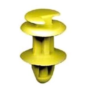 Body, Restagraf Body, Restagraf