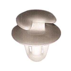 Body, Restagraf Body, Restagraf