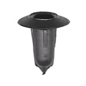 Body, Restagraf Body, Restagraf