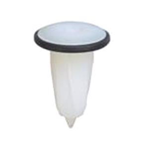 Body, Restagraf Body, Restagraf