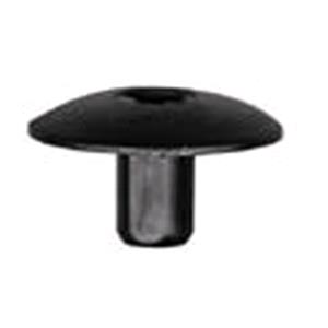 Body, Restagraf Body, Restagraf