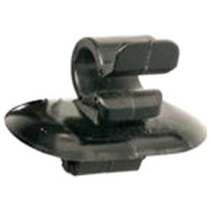 Body, Restagraf Body, Restagraf