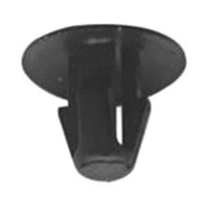 Body, Restagraf Body, Restagraf