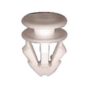 Body, Restagraf Body, Restagraf