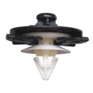 Body, Restagraf Body, Restagraf