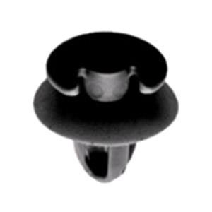 Body, Restagraf Body, Restagraf